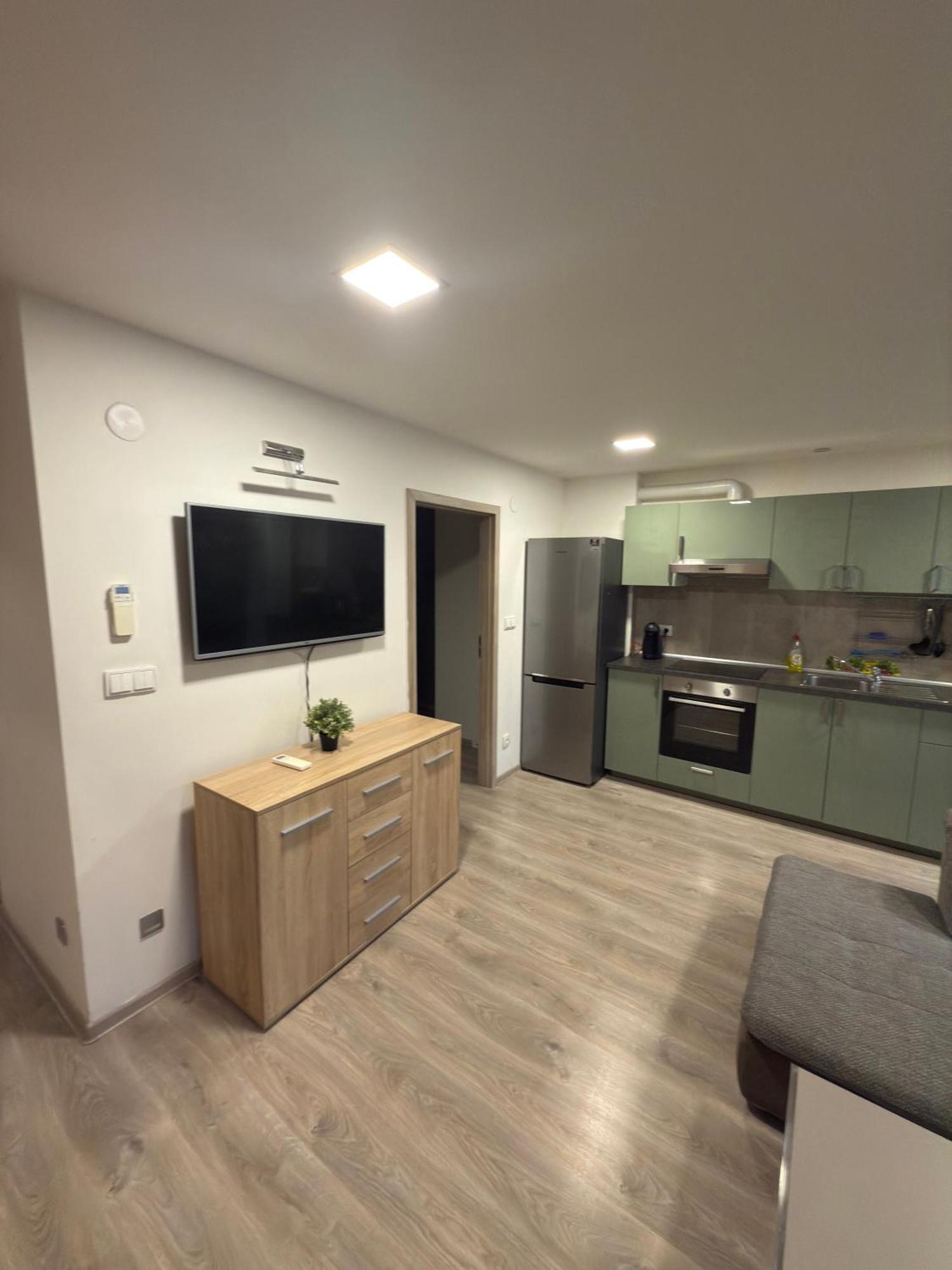 Apartman V Blizkosti Centra Brna Brno Exterior foto